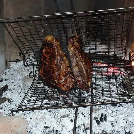 Farma La Sassetta Bibbona